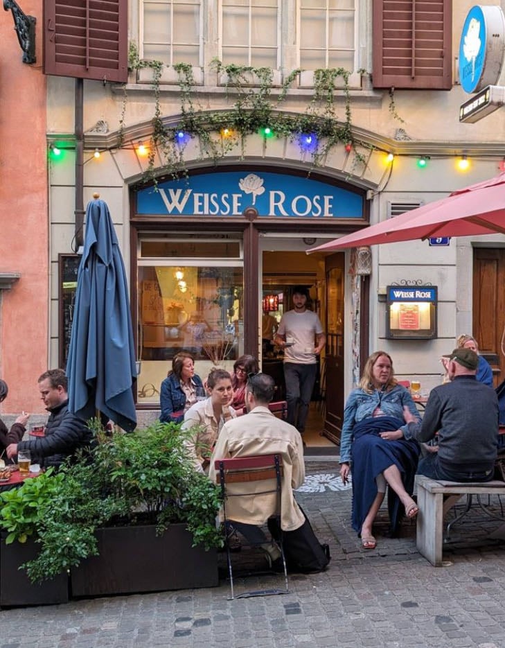 Weisse Rose