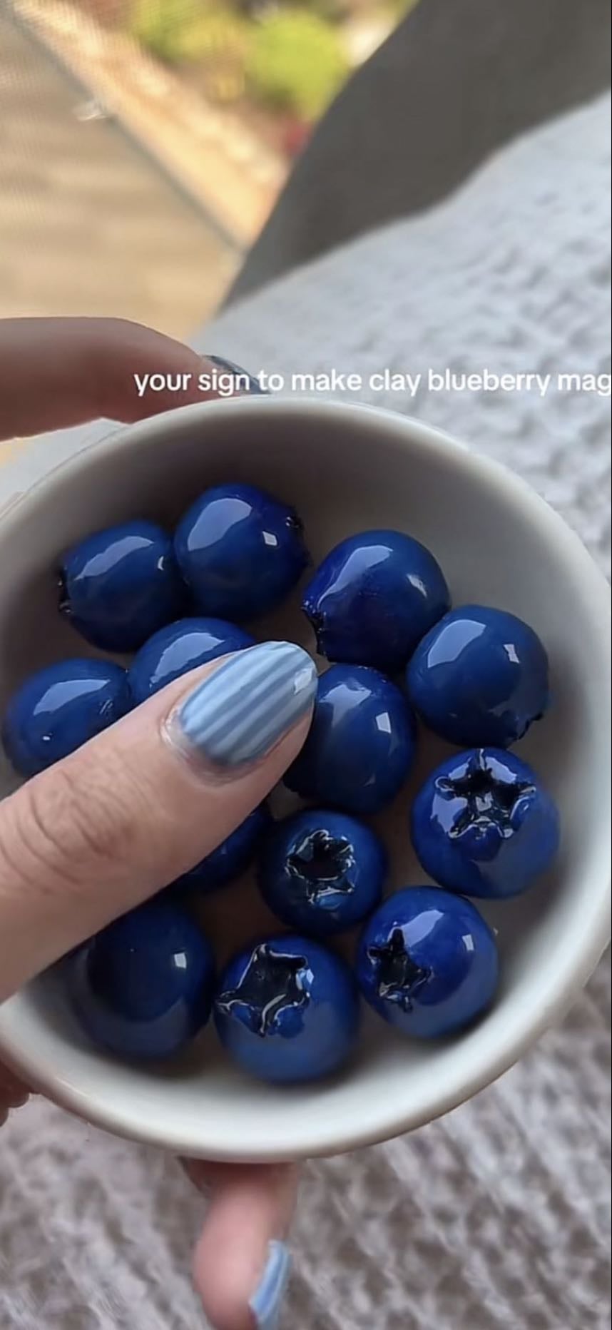 blueberry magnets