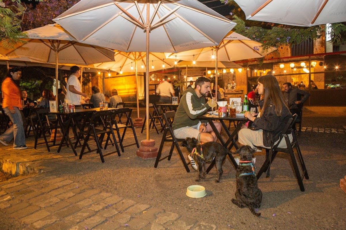Domani Pizzeria Napolitana & Bar - Plaza Pedro de Valdivia