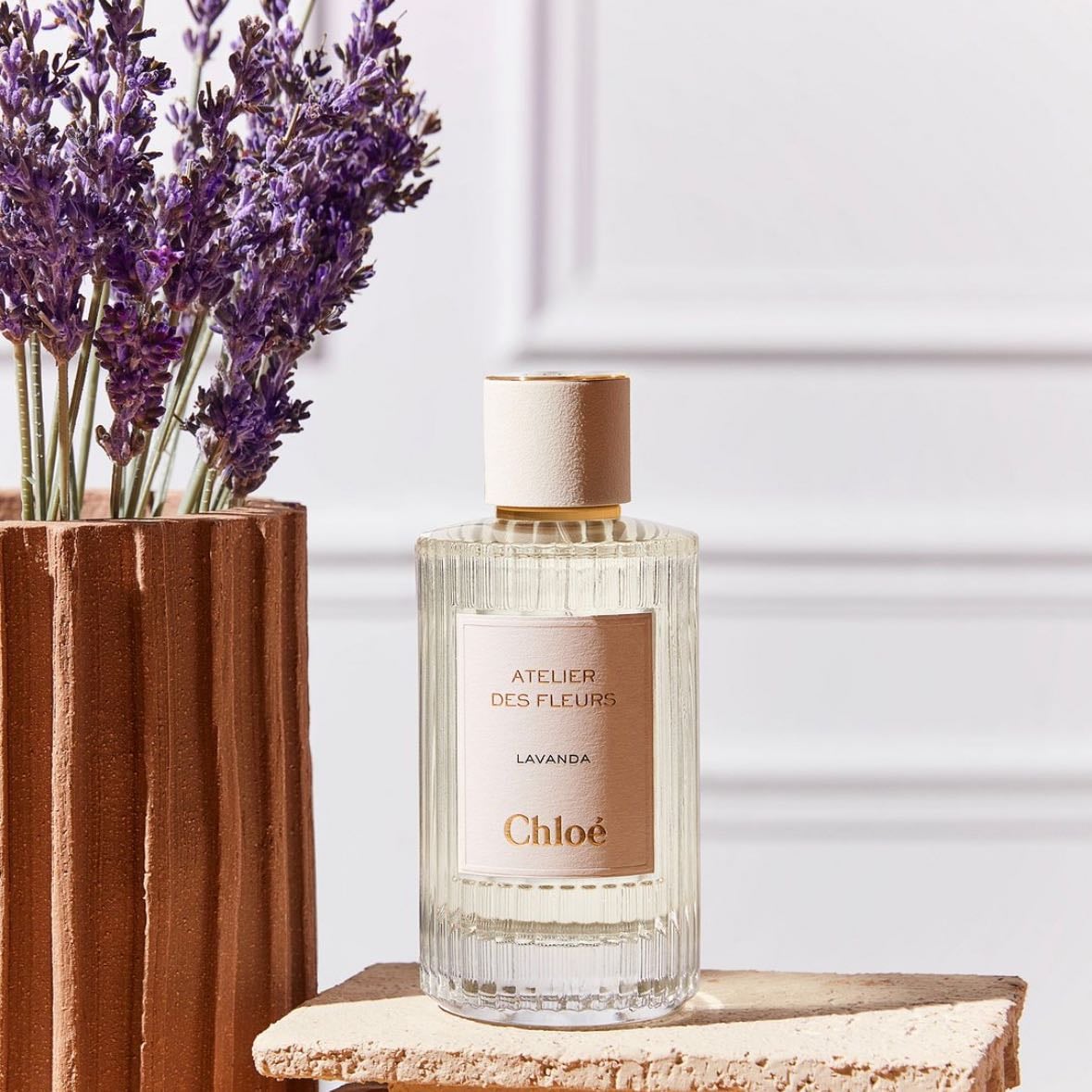 Atelier des Fleurs Lavanda - Chloé