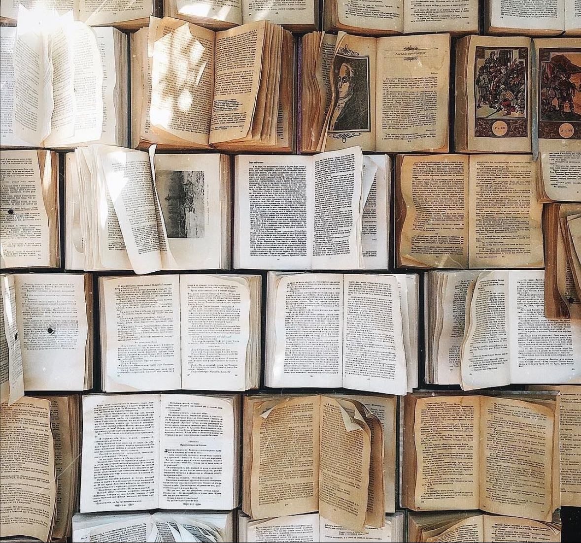 TBR Classics ✮⋆˙ - Books hypelist by Marguerite