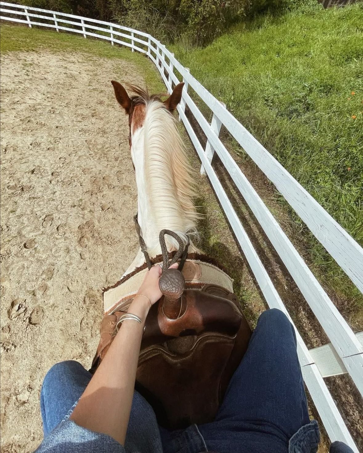 Horse riding🐎