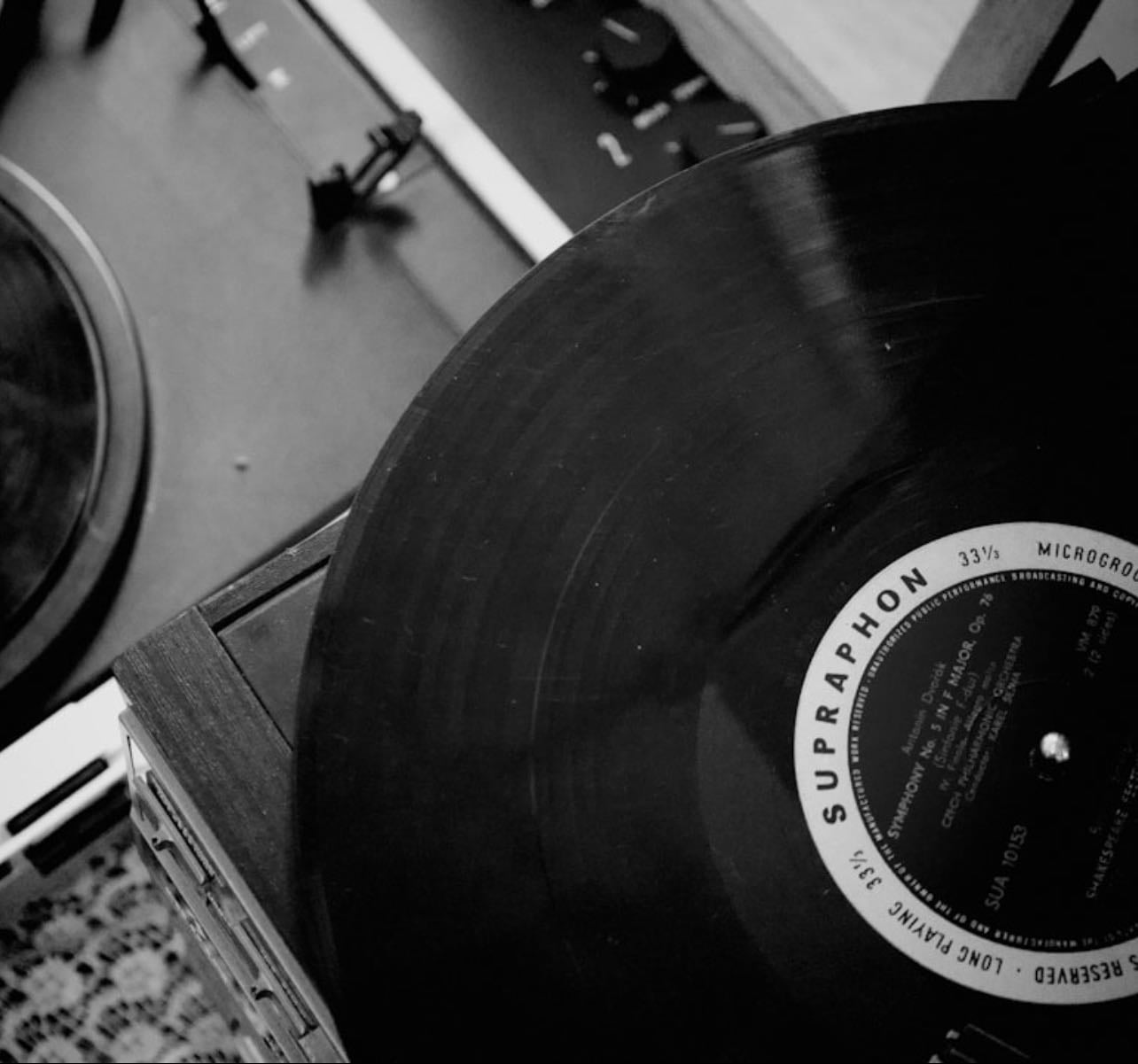 Vinyls Lover