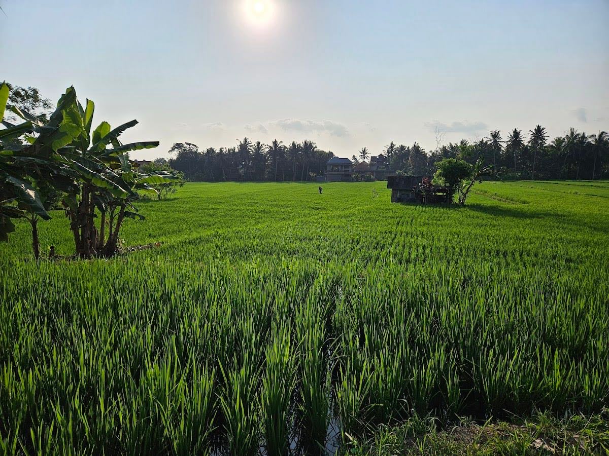Sweet Orange Walk Trail - Bali | Hike