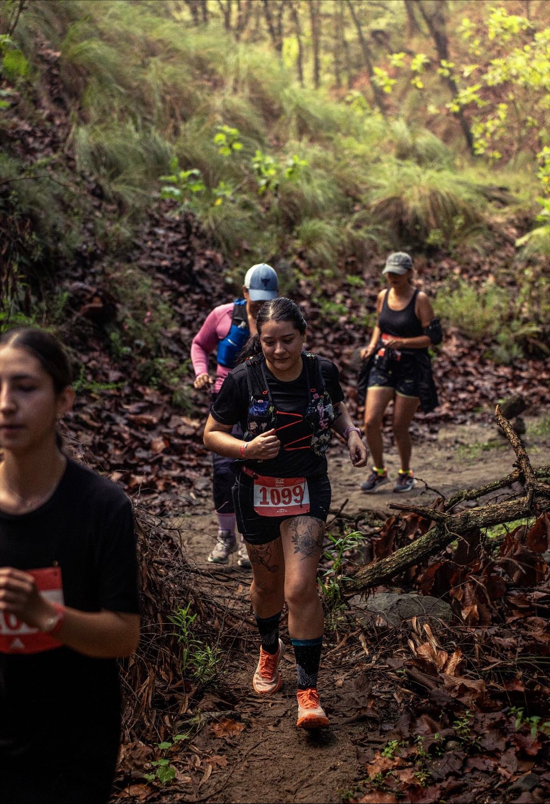 Adidas hub trail 12k - Bosque de la primavera