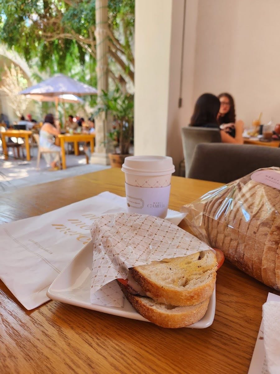 Camelia Panaderia Centro