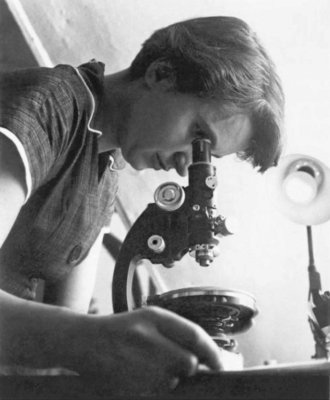 La structure de l’ADN - Rosalind Franklin