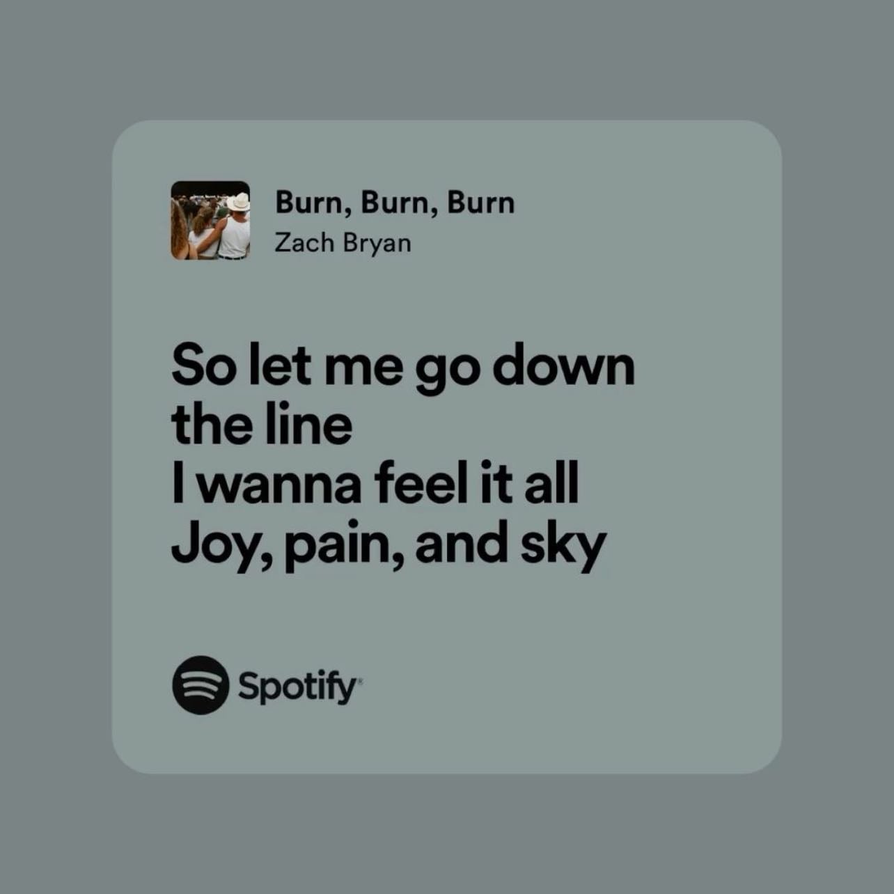 So let me go down the line I wanna feel it all Joy, pain, and sky - ~ Zach Bryan, Burn, Burn, Burn