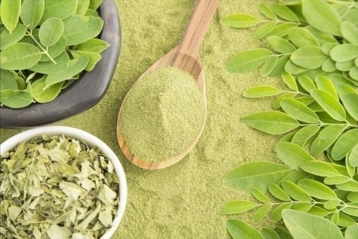Chá de Moringa