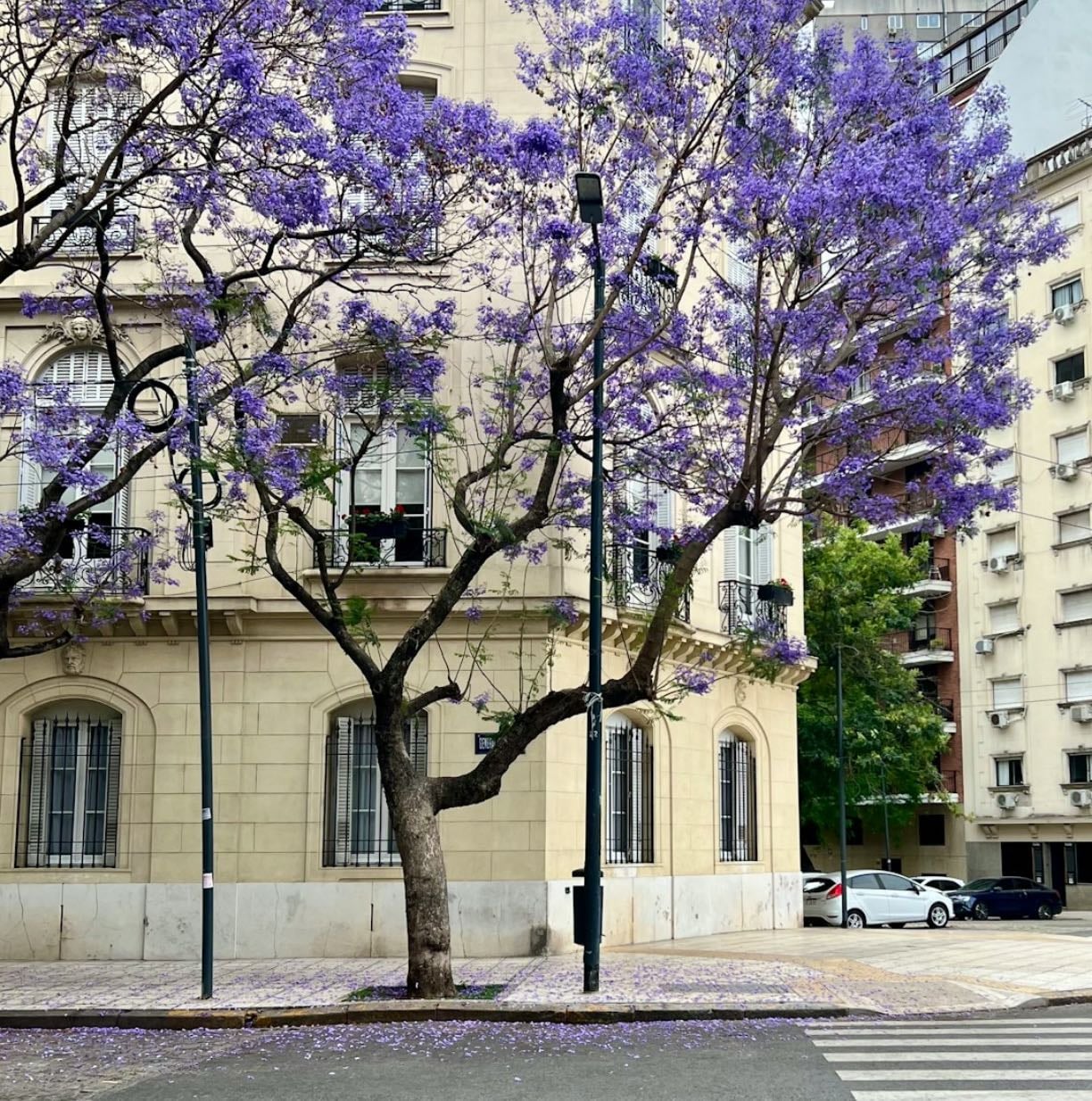 Buenos Aires