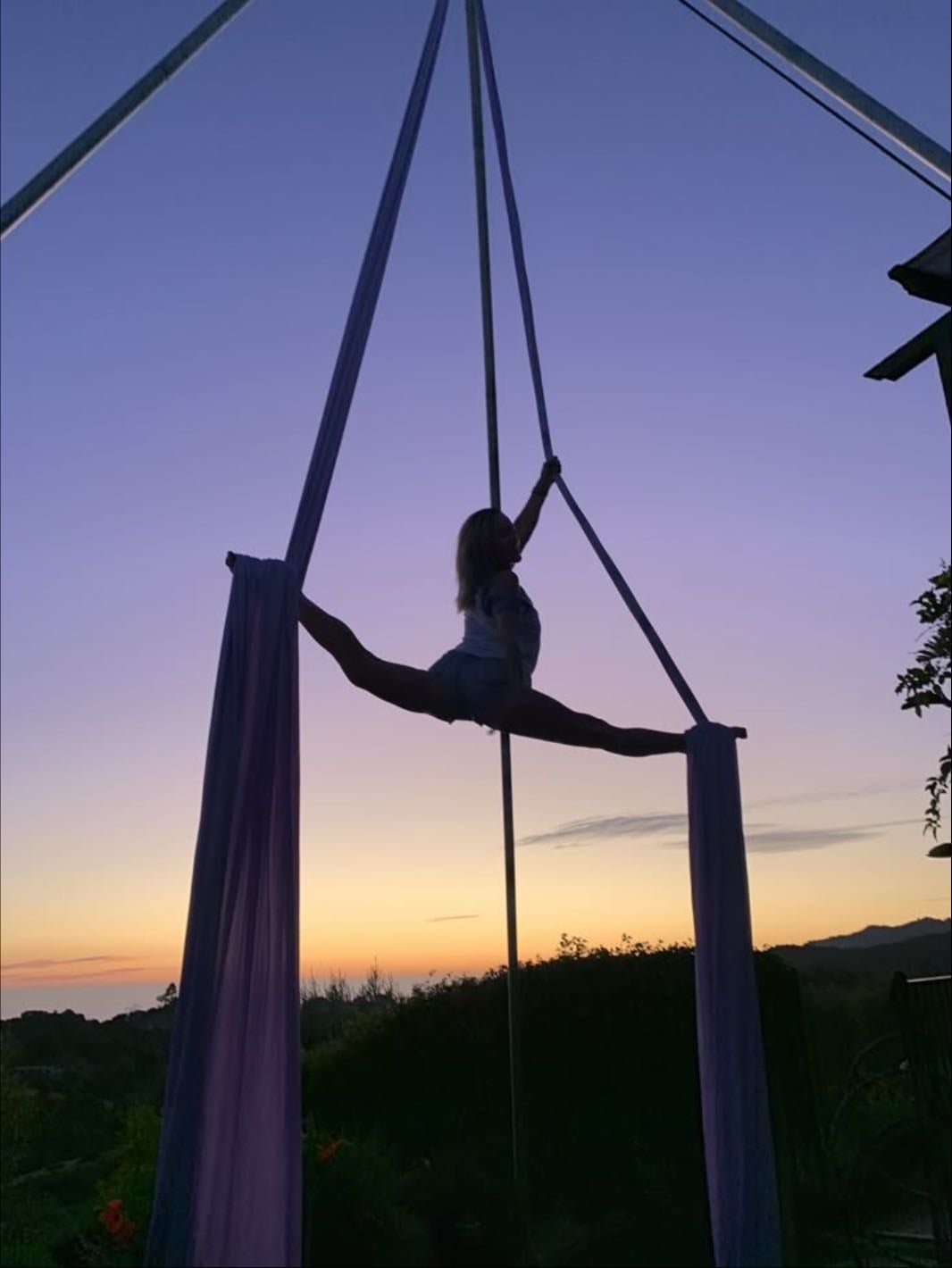 aerial silks