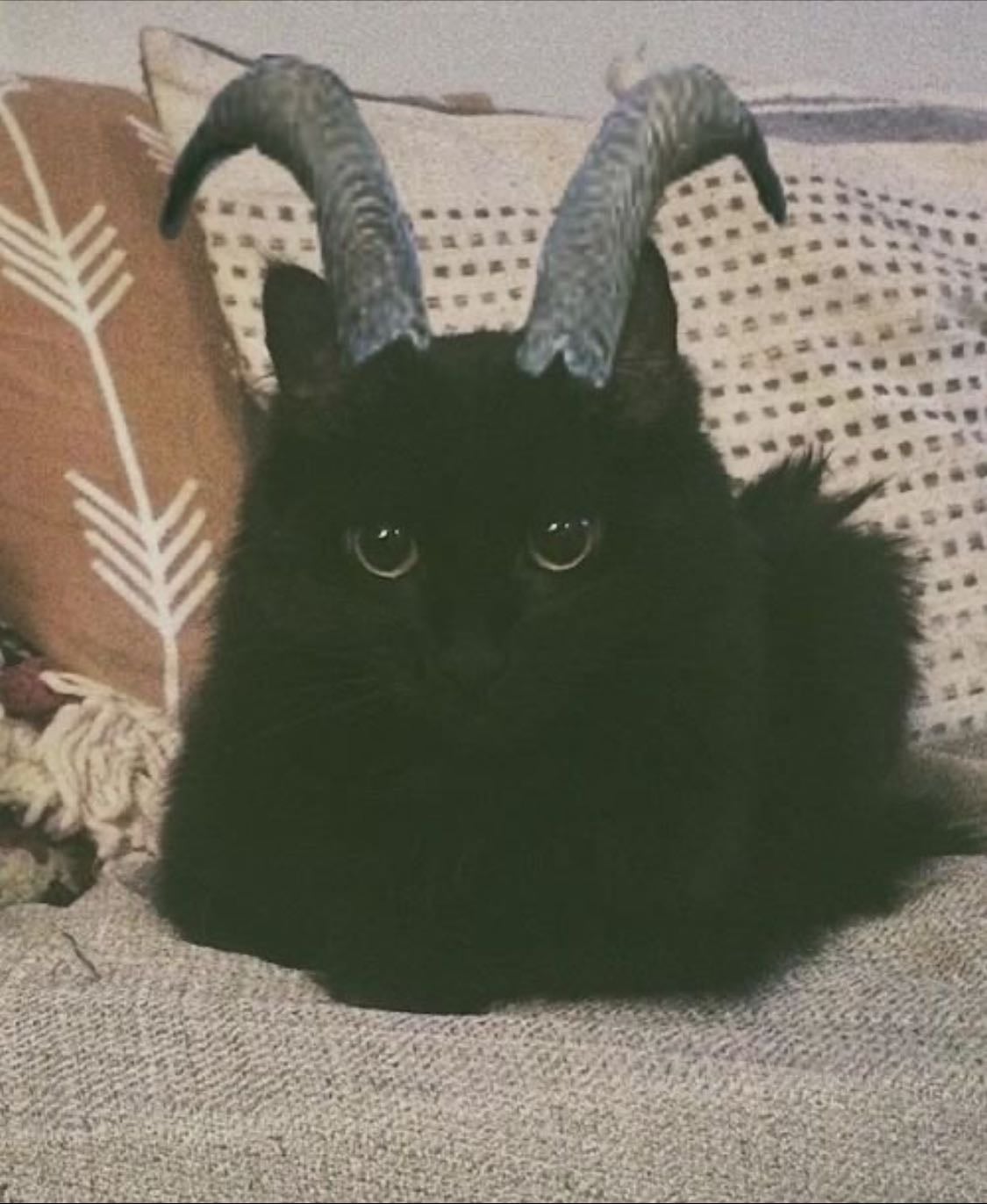 Gothic Vibe - So cute!