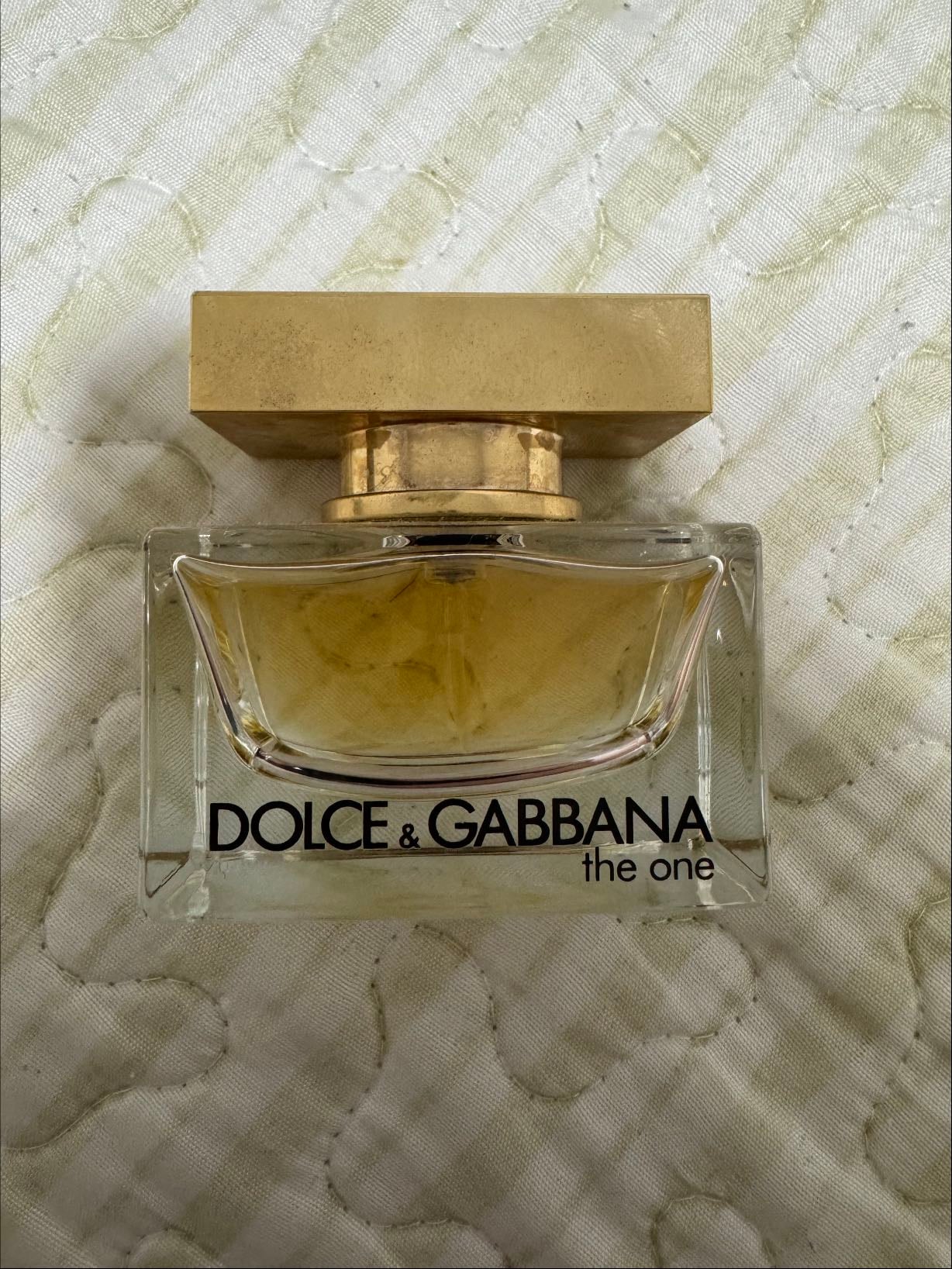 dolce e gabbana the one