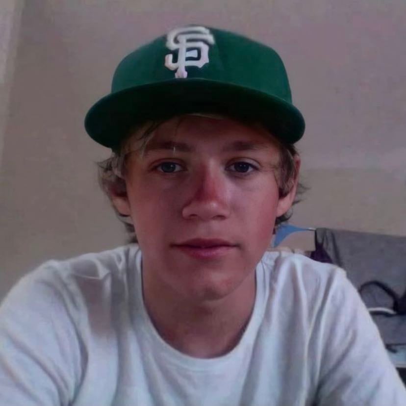 Niall Horan - I love him with all my heart. He’s my comfort artist and always will be. His music is all so heartwarming to me and he always makes his songs about things that mean something to him. He’s the most kind hearted person out there and understands people and what they could be going through. He saved me with his music and I will forever love him and his music for that. No matter what I will always support him and his career. I love him so much and I really really hope I get to see him live one day.