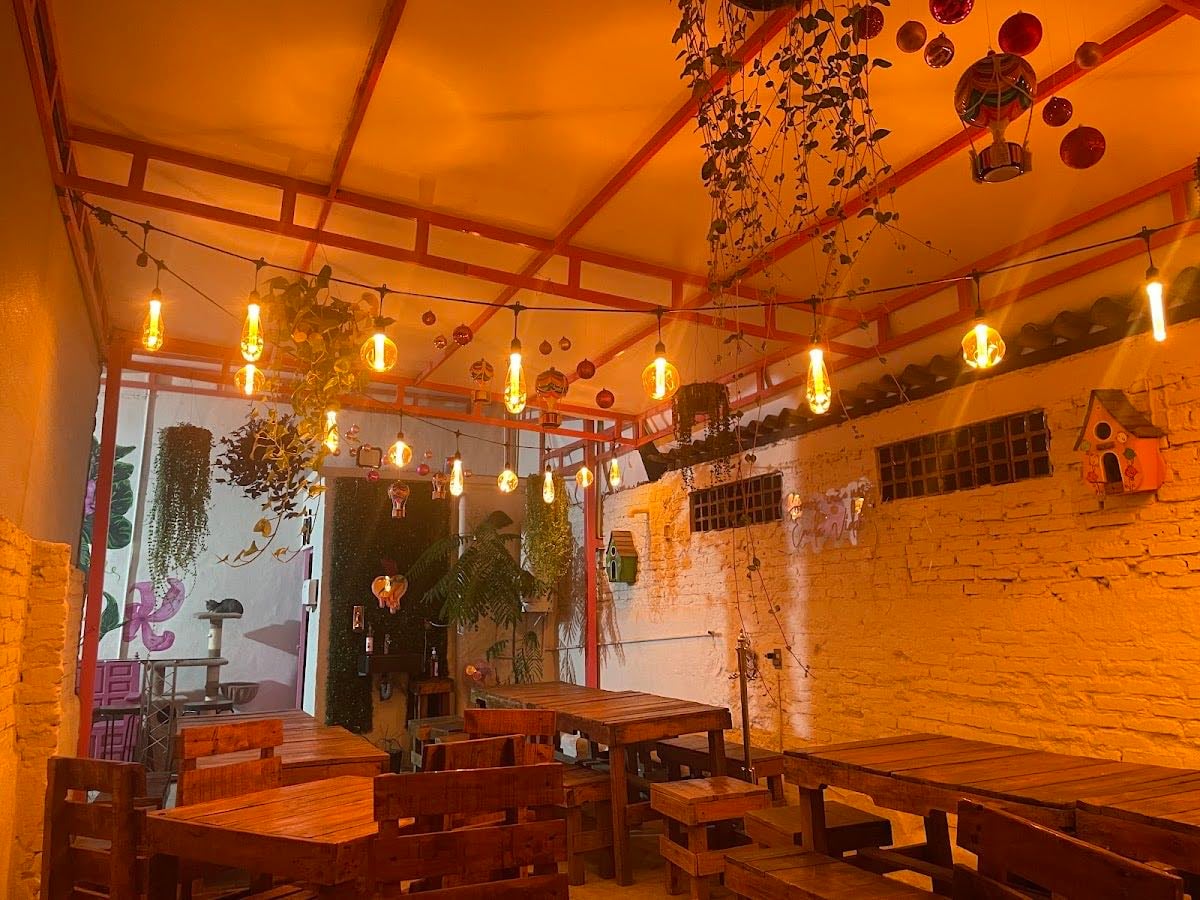 Pinki Combi Café