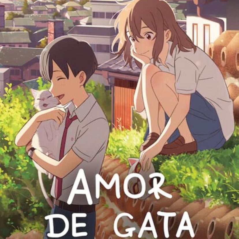 Amor de gata - 佐藤順一 · 2020