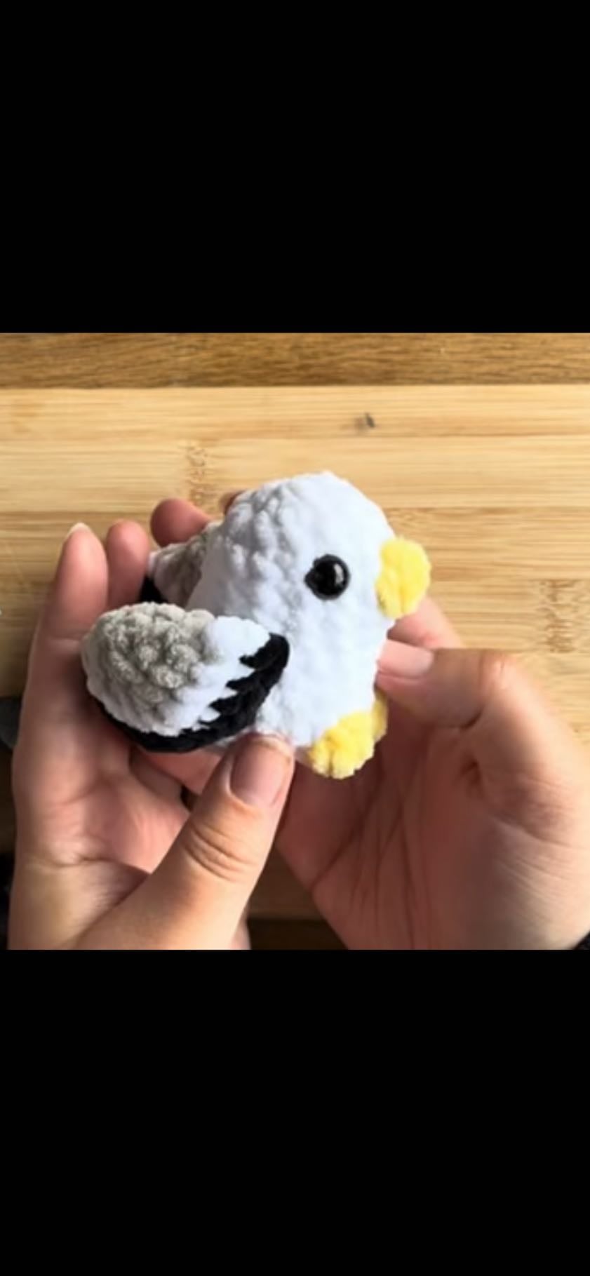 Seth the mini seagull - YouTube