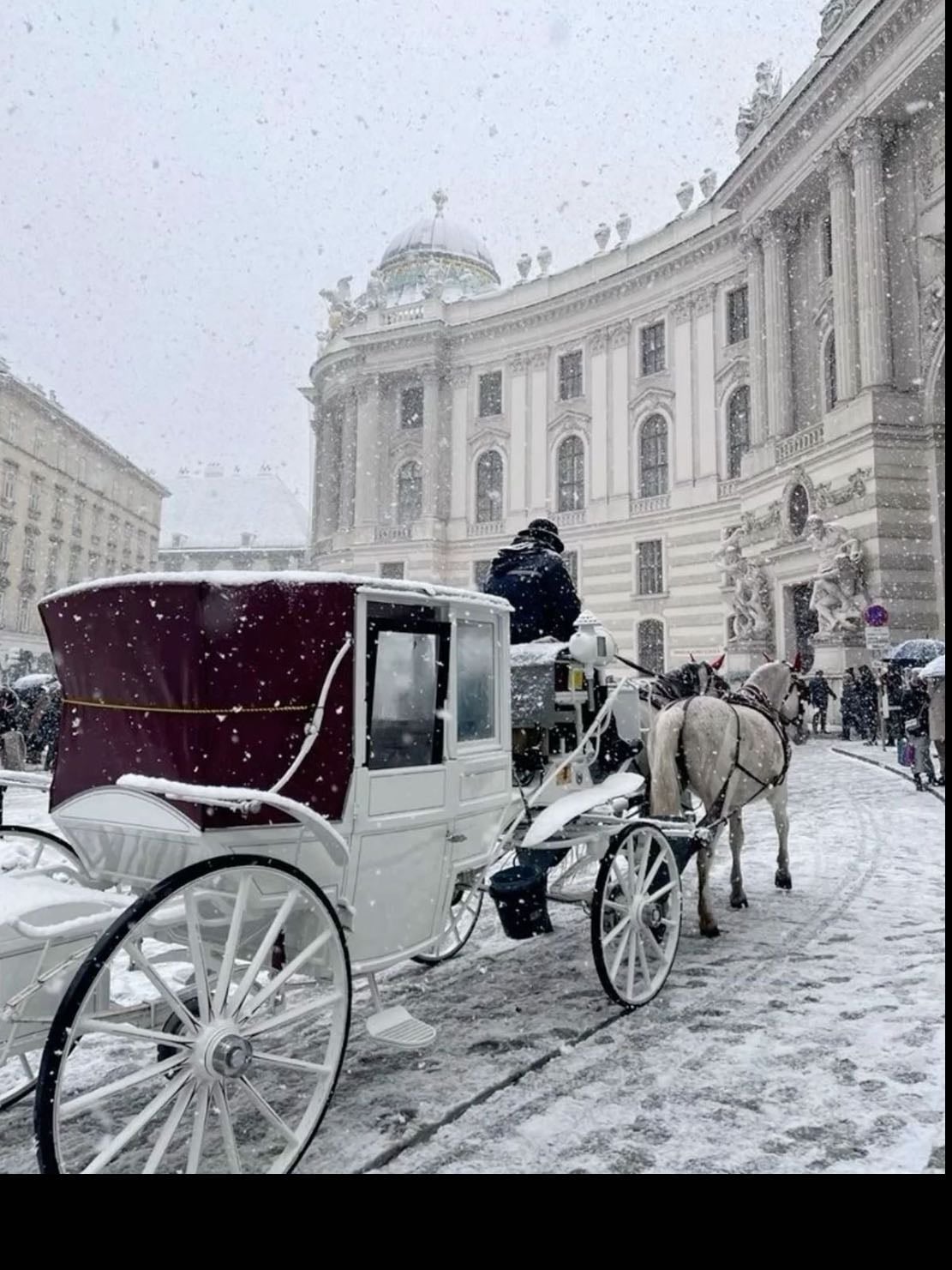 Ride in a horse drawn carriage