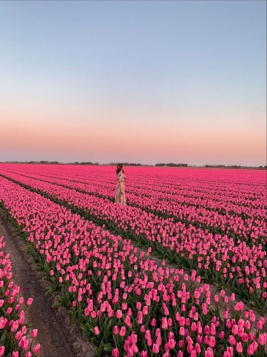 Flower picking