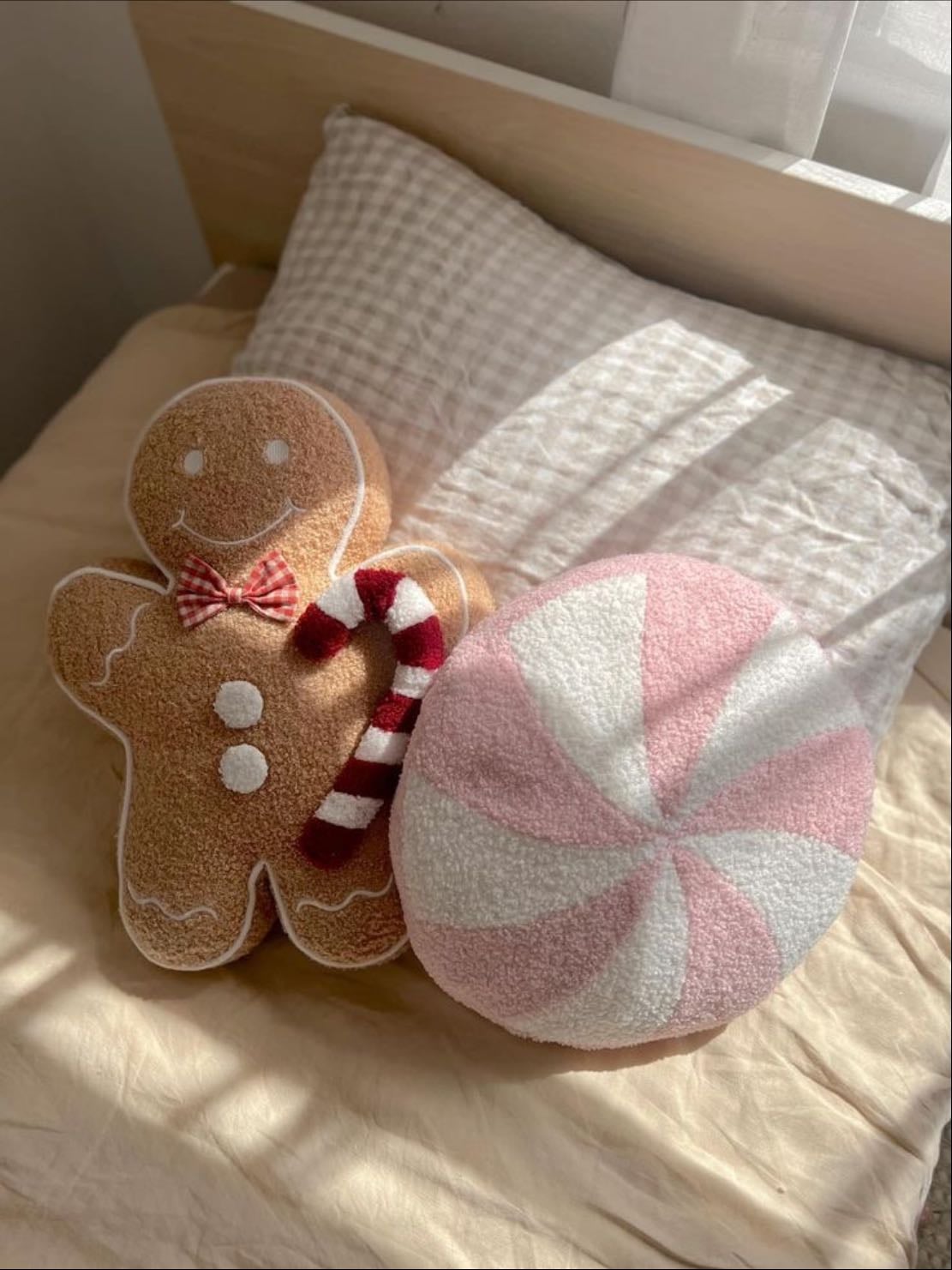 Decorate the house