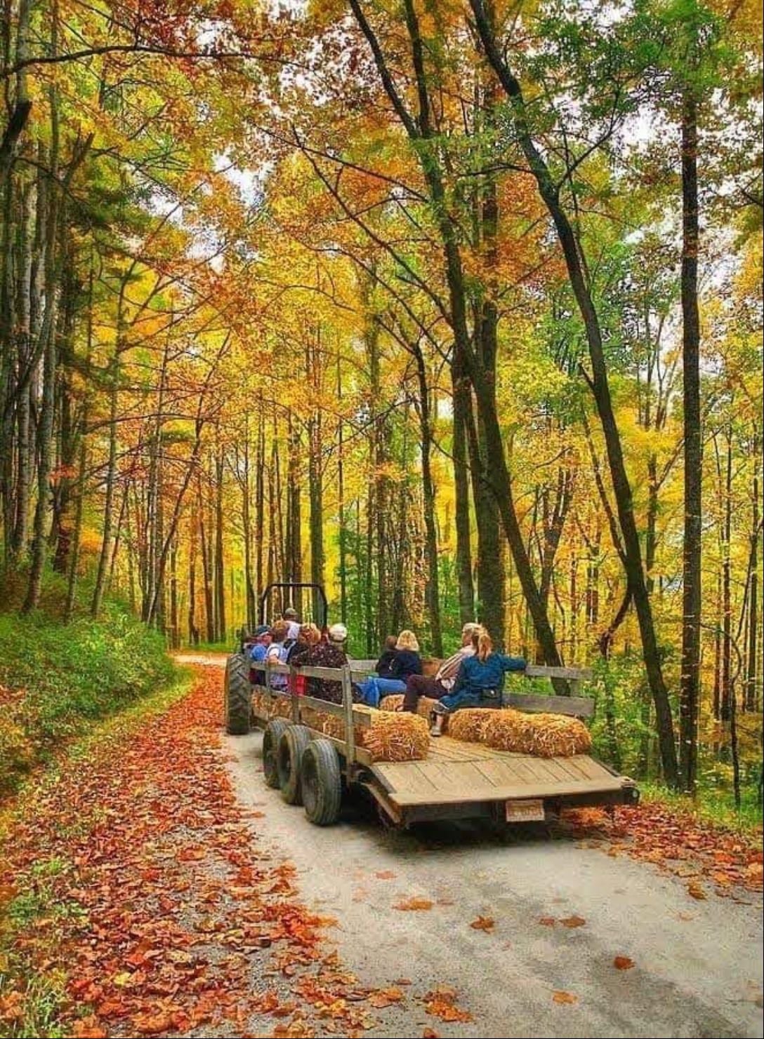 Hay ride