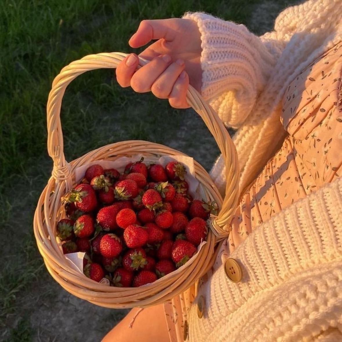 Buy fresh fruit