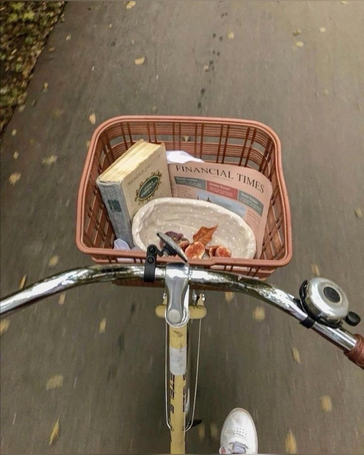 Go on a bike ride