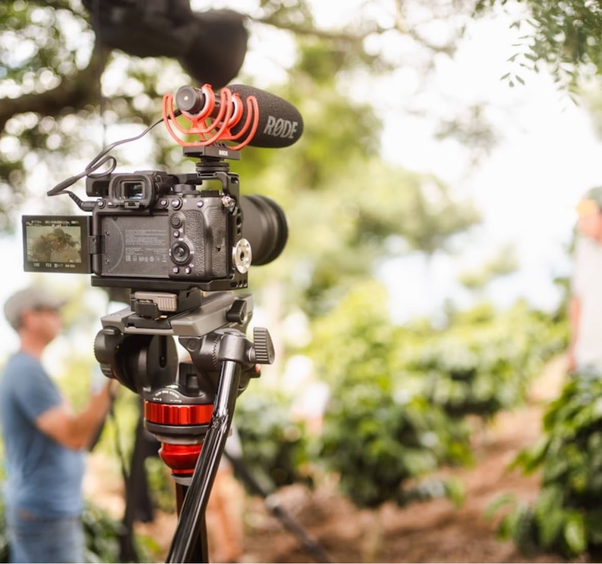 Documentales 馃帴 - Movies hypelist by Mikaella Poggini Fernandez