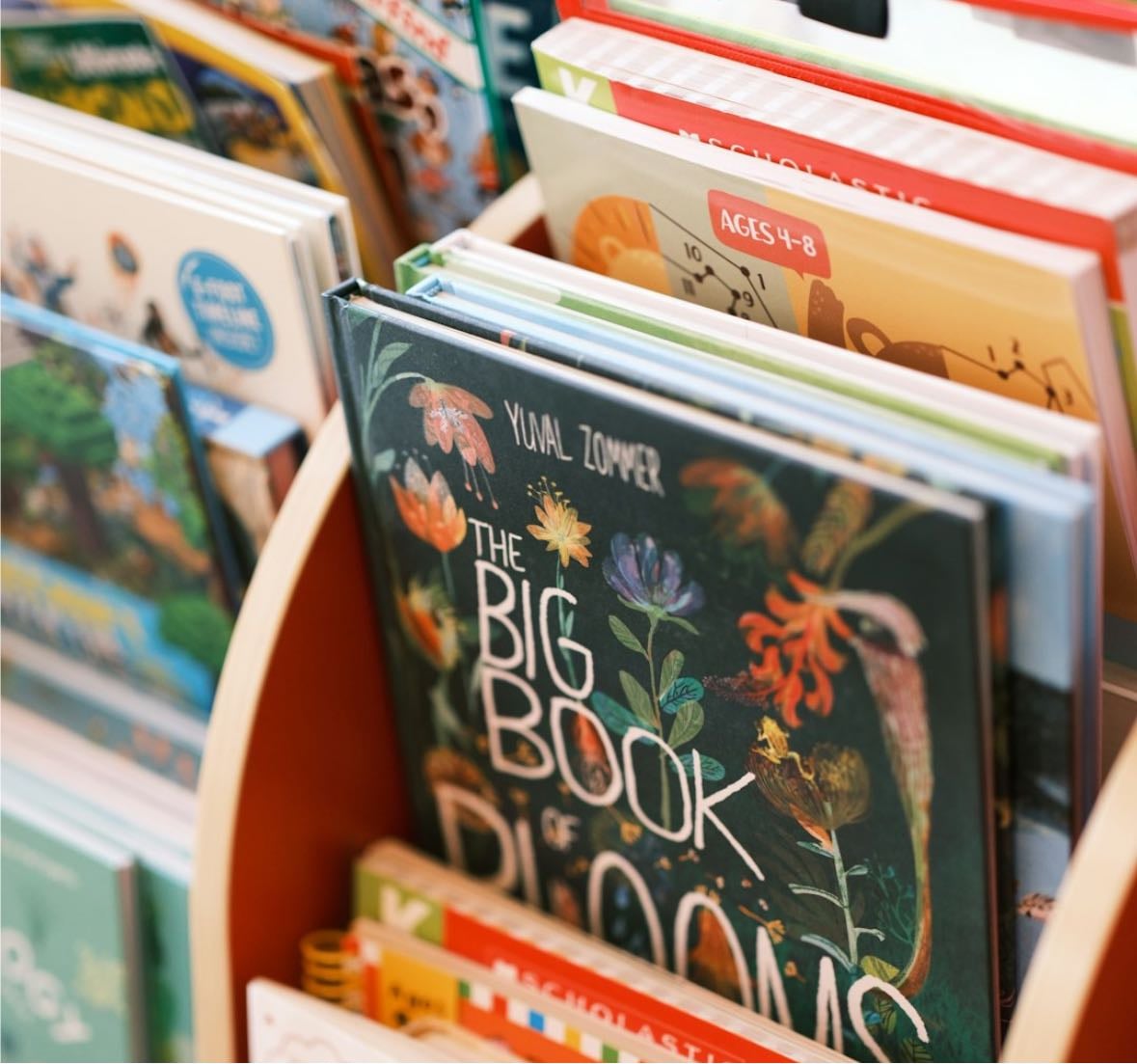Libros infantiles 👶🏻