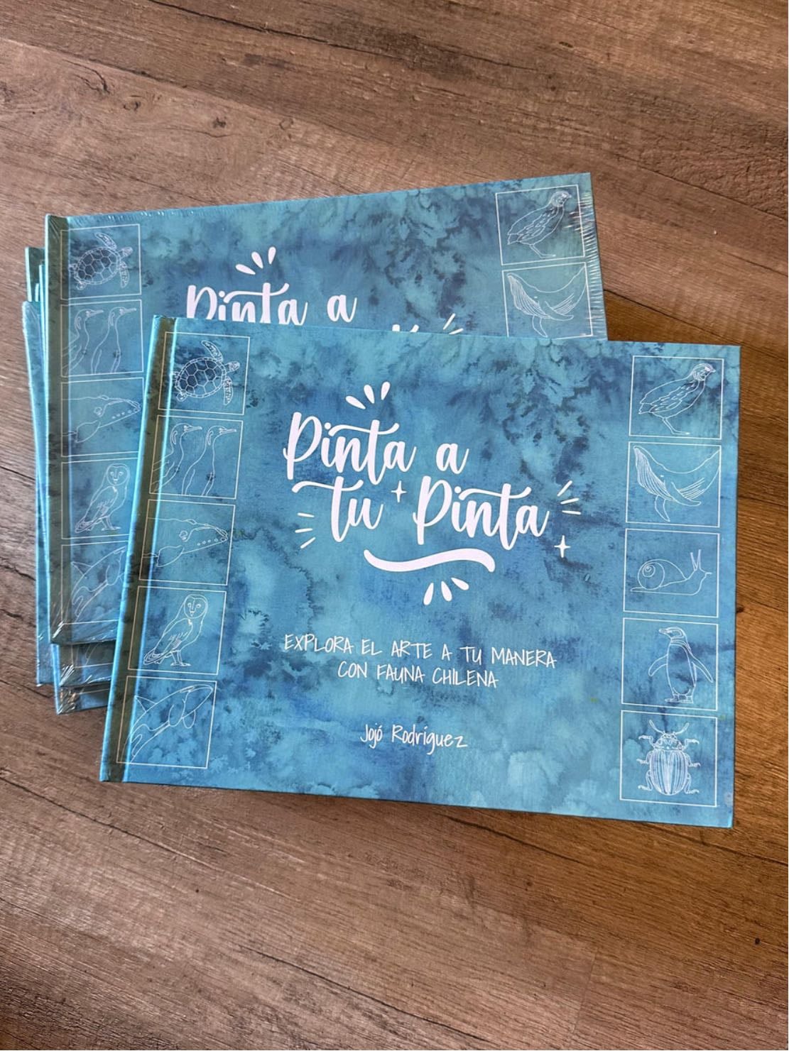 Libro “Pinta a tu Pinta” - Libro para colorear de Jojó Rodríguez