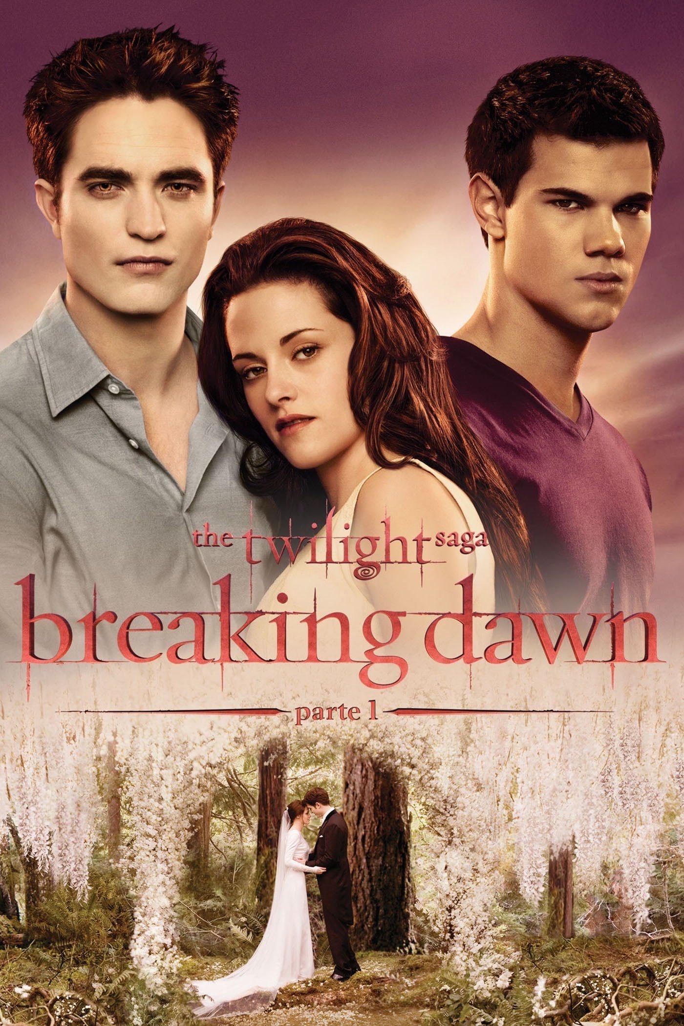 The Twilight Saga: Breaking Dawn - Part 1 - Bill Condon · 2011