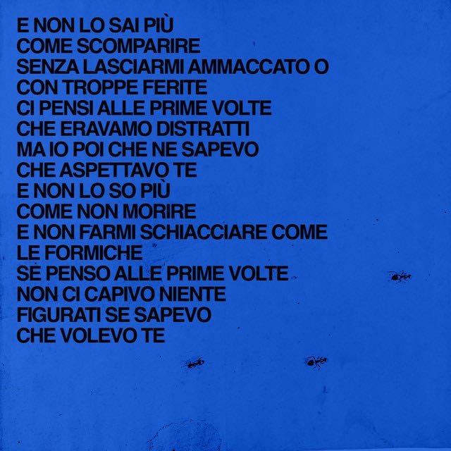Formiche - Song 路 gIANMARIA