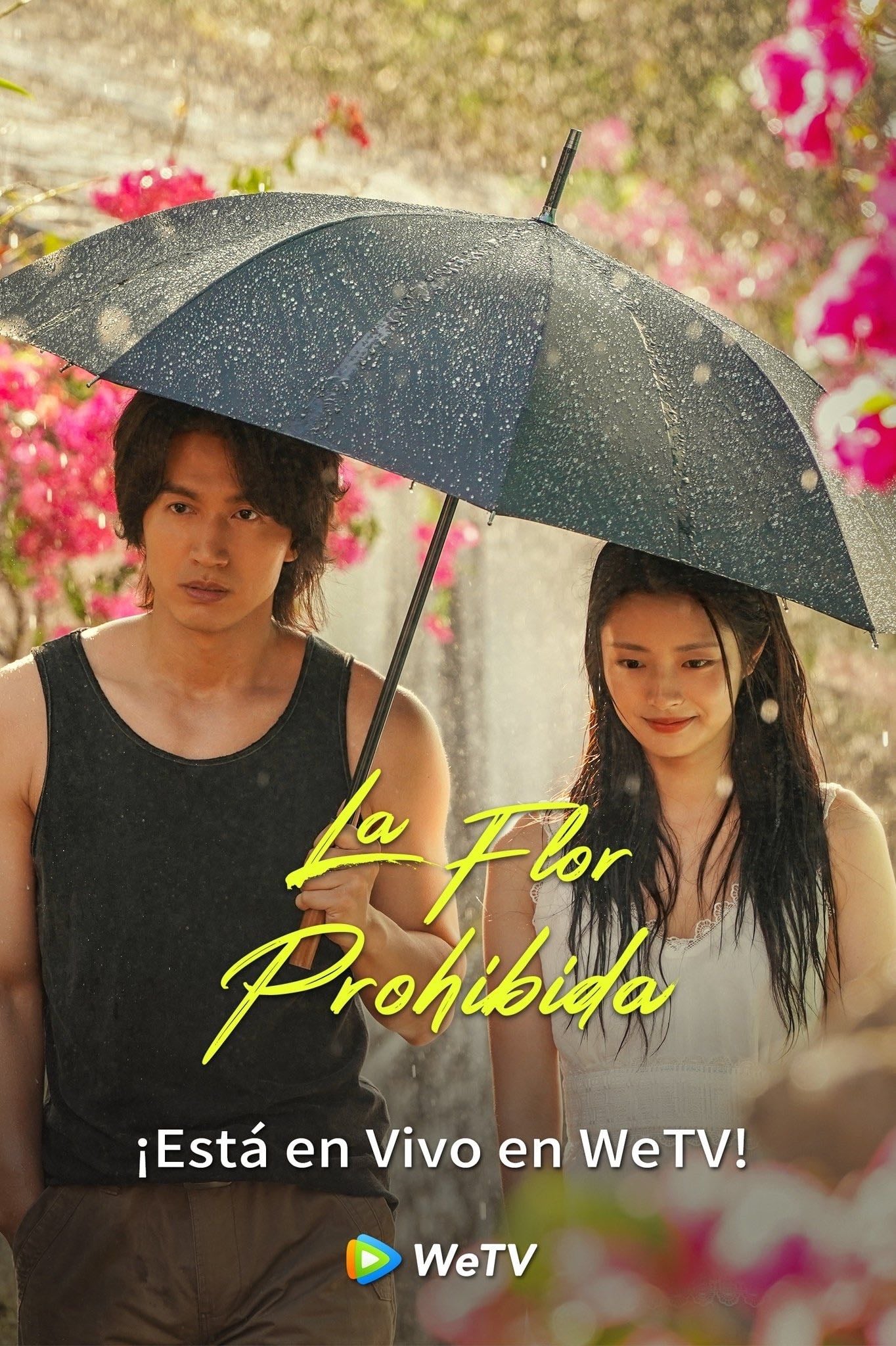 The Forbidden Flower - 24 episodios • VIKI · 2023