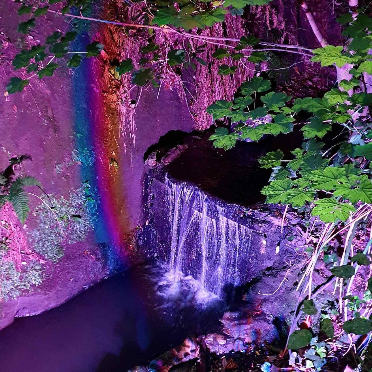 Shanklin Chine