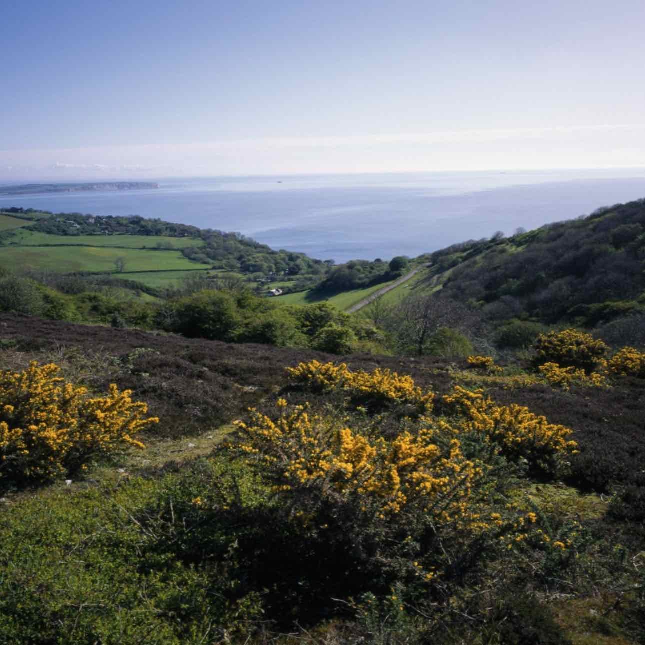 St Boniface Down