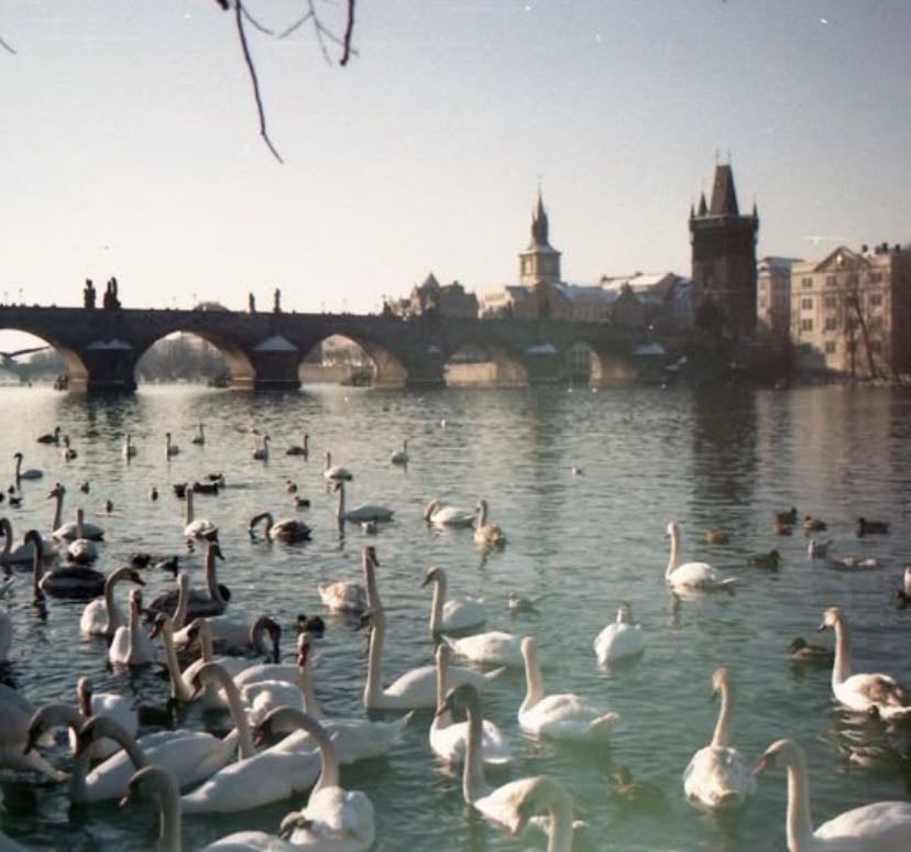 My trip to Prague🦢༉˚.