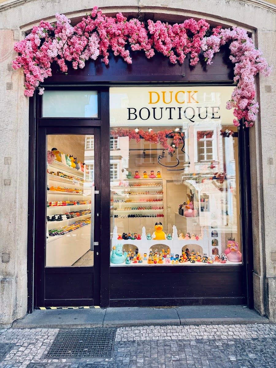 Duck Boutique .🪿 ݁˖ - To buy some cute souvenirs <3