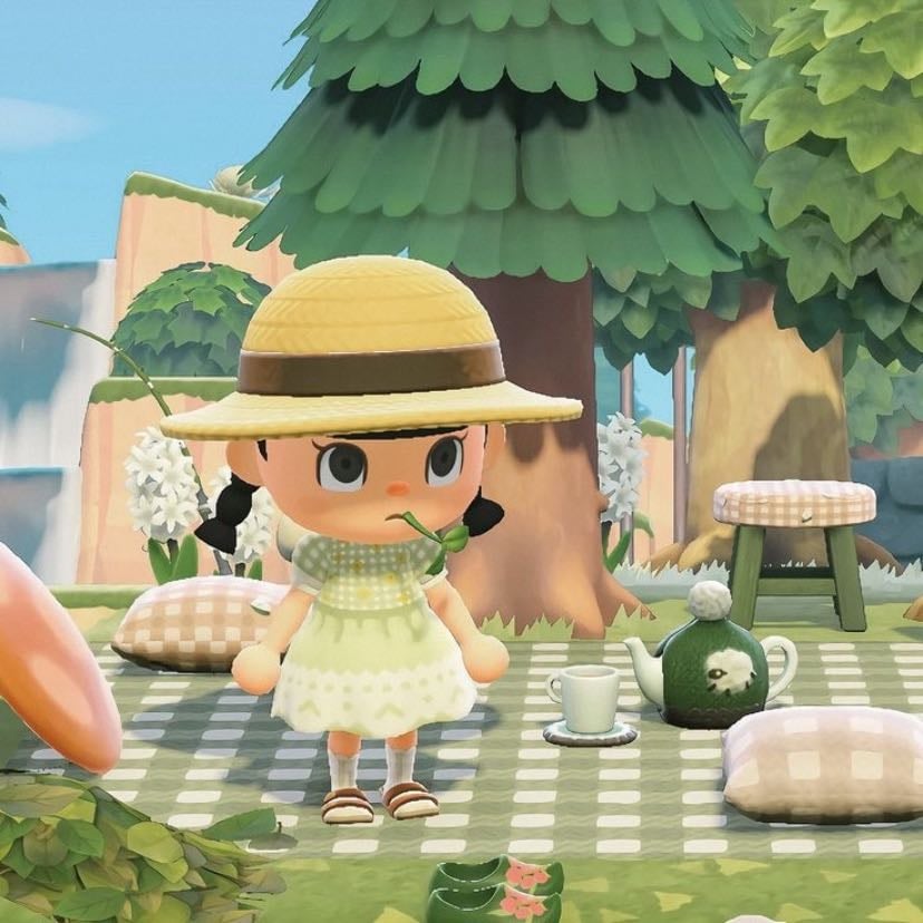 Animal crossing - I’m in so much dept