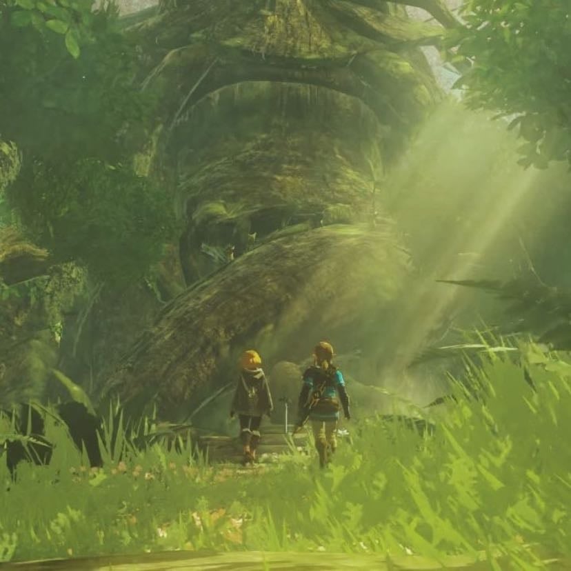 Legend of Zelda - The game series I have too many hours in