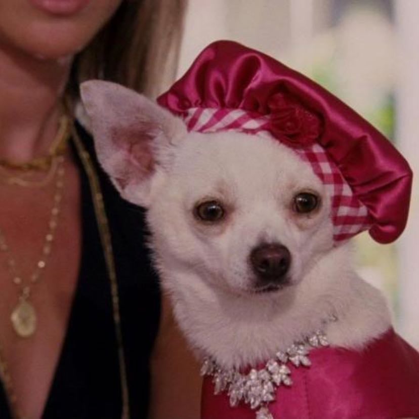 Beverly Hills Chihuahua - Raja Gosnell · 2008