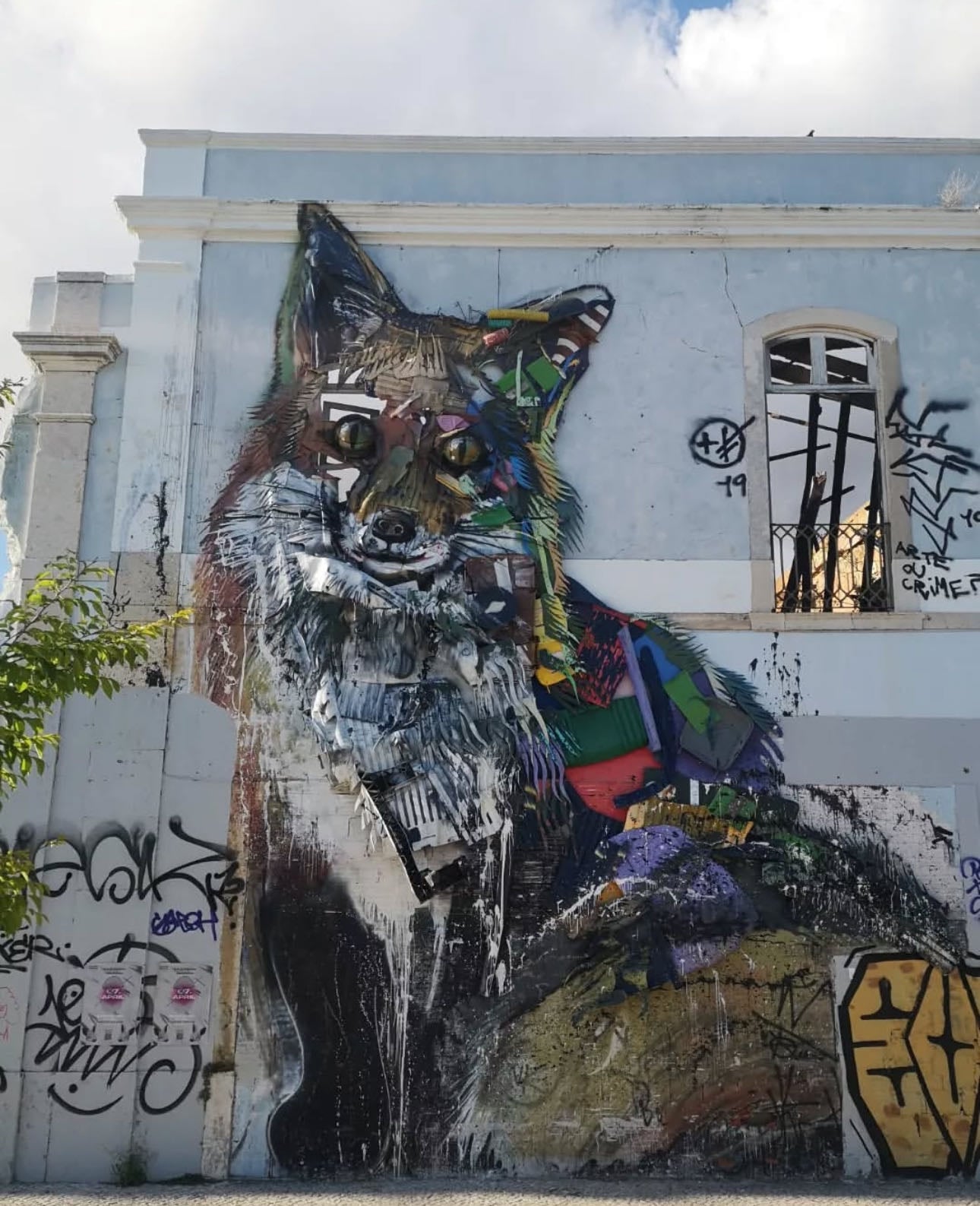 Fox @ Santos
