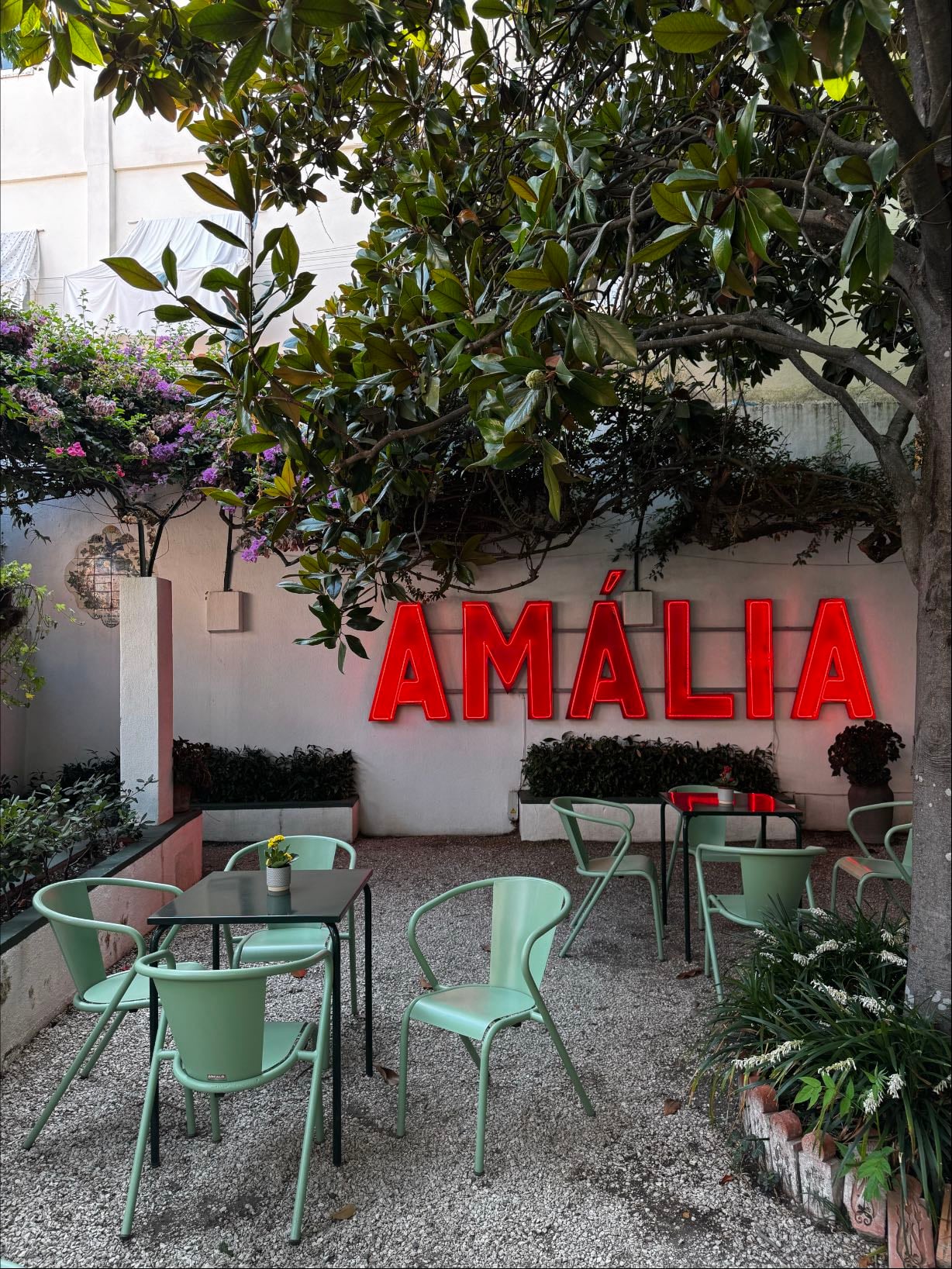 Casa-Museu Amália Rodrigues @ São Bento - 2025