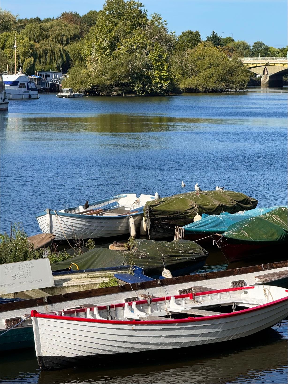 Richmond Riverside