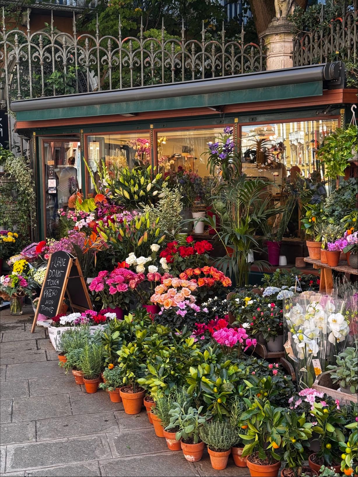 Angolo Fiorito - Flower shop