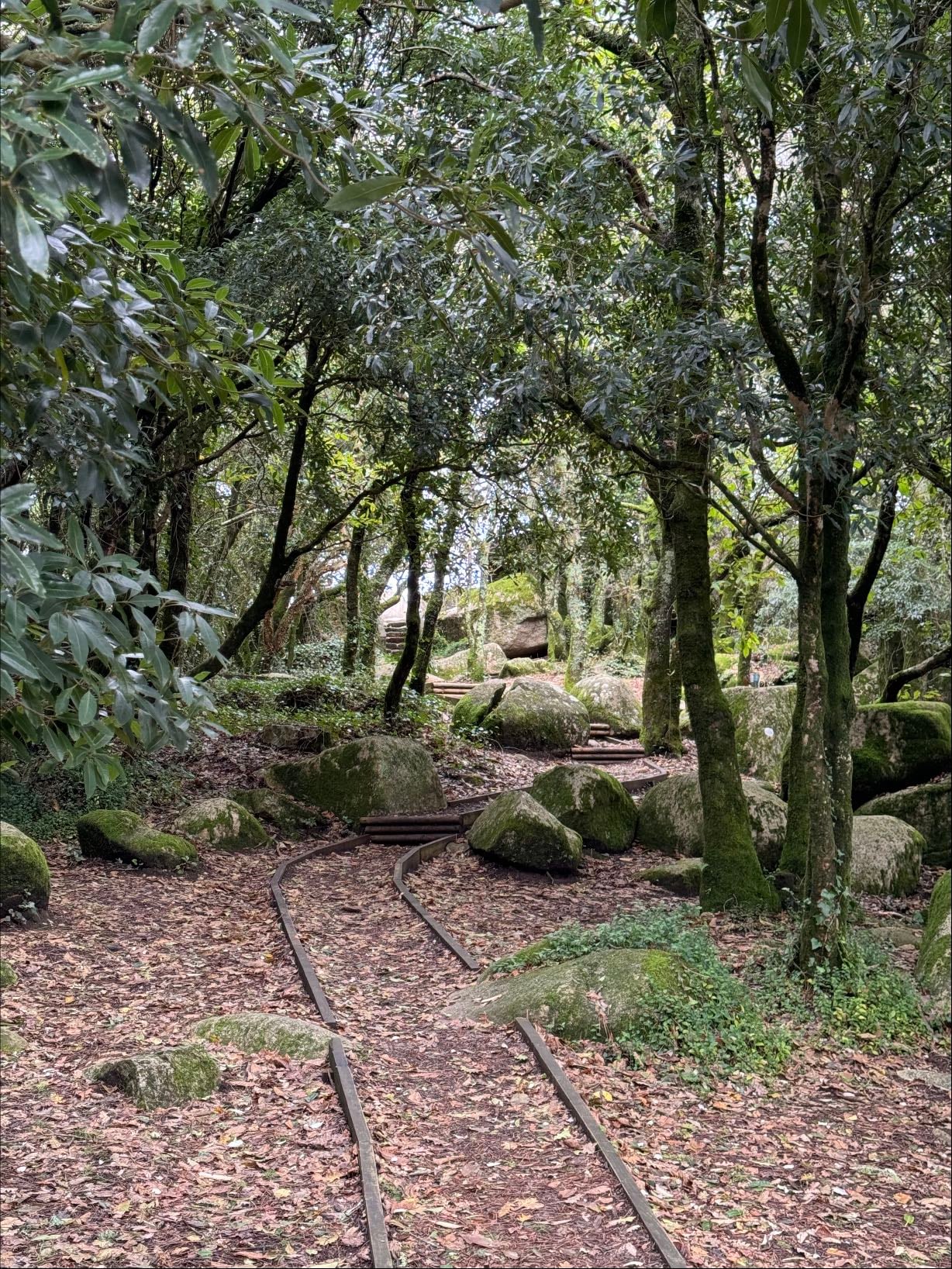 Daytrip to Sintra