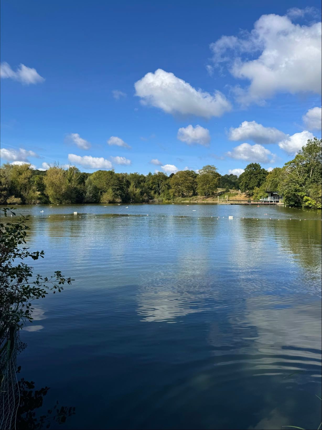 Highgate Men's Bathing Pond - Park