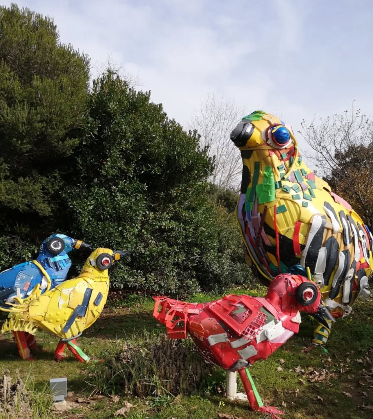 Chickens @ Oeiras