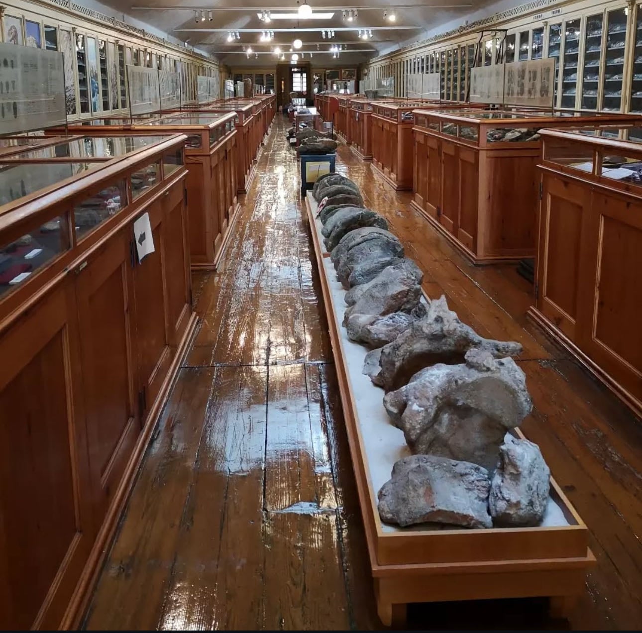 Museu Geológico @ São Bento