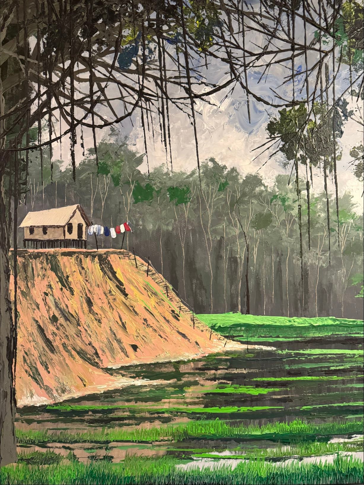 Museu Ferreira de Castro - 2025