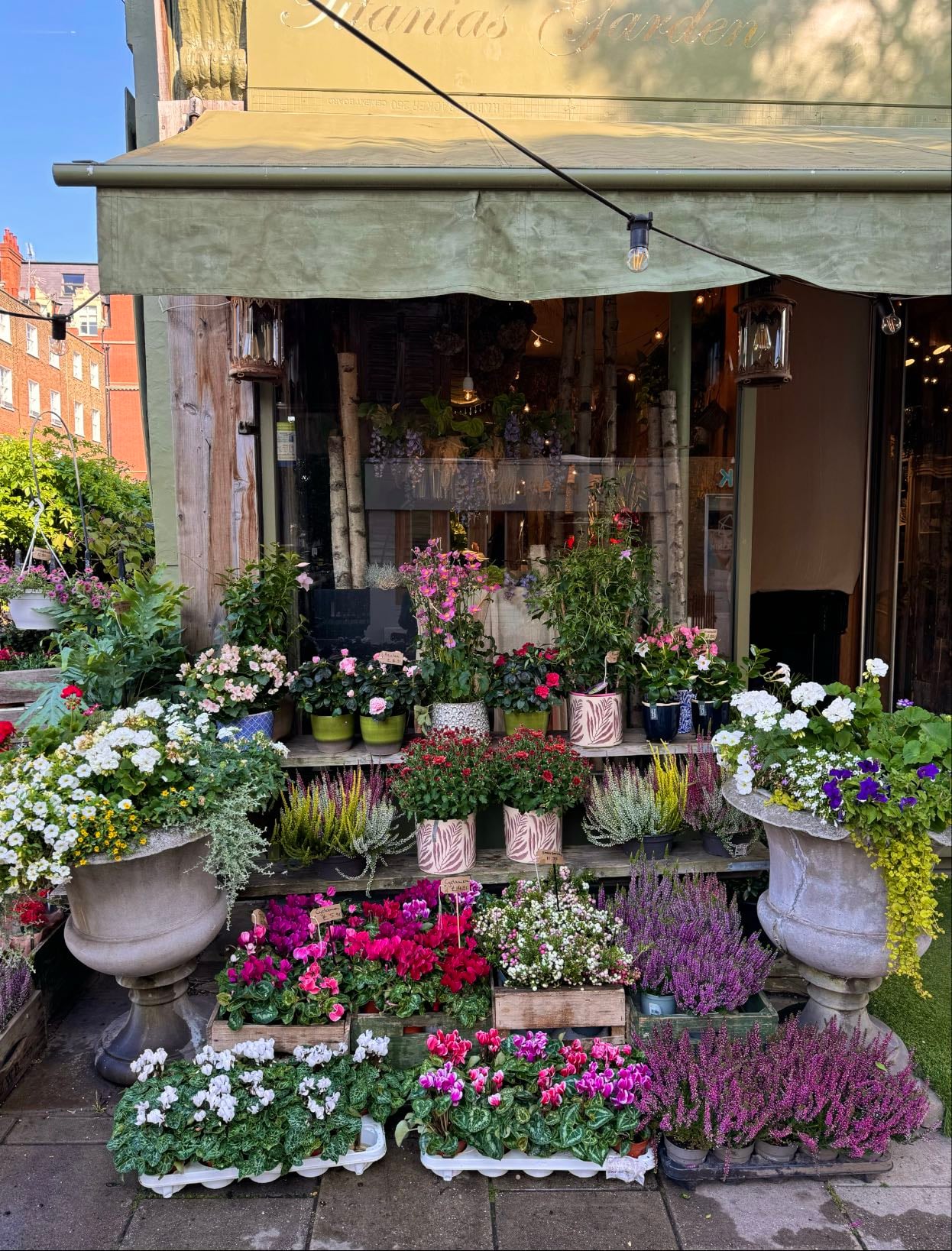 Titania's Garden - Florist